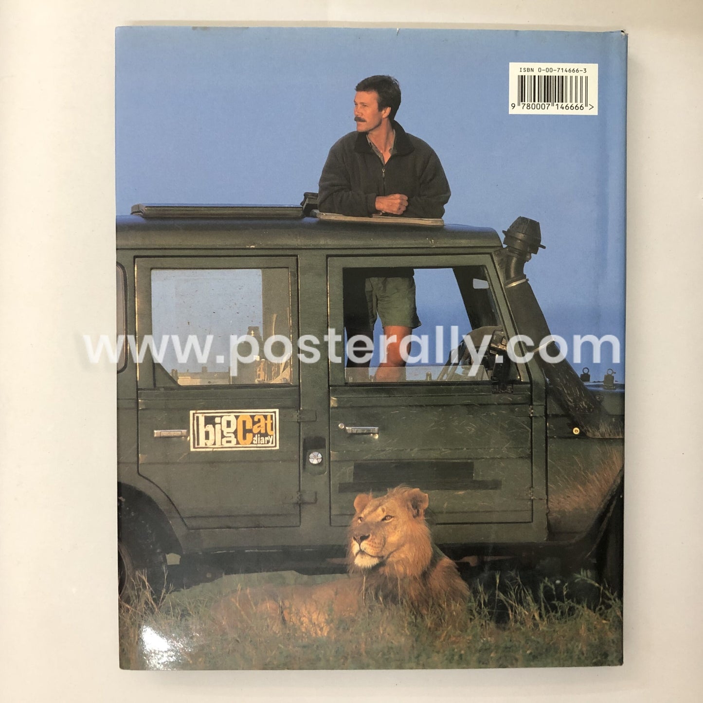 Big Cat Diary: Lion by Jonathan and Angela Scott