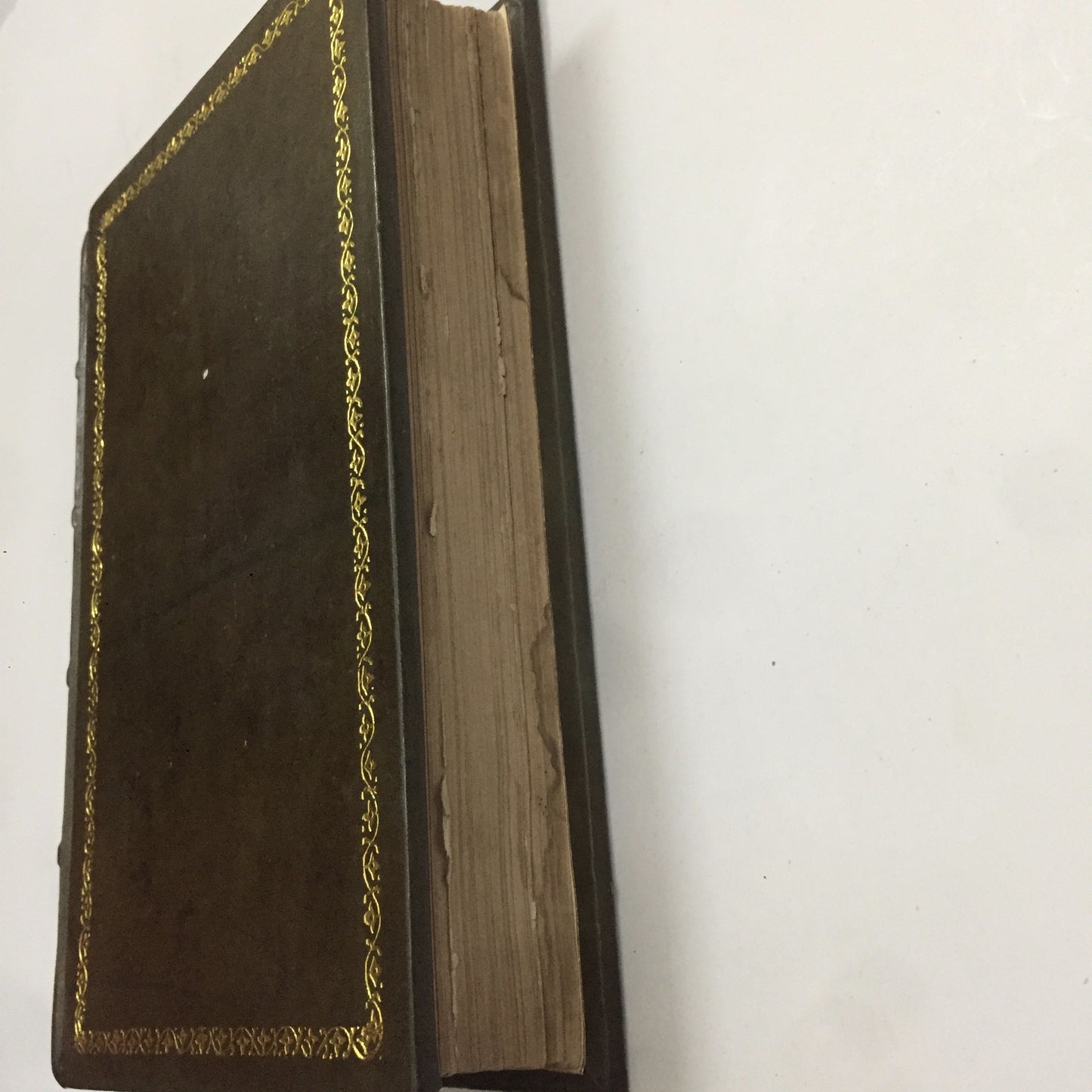 Diary of a Pedestrian in Cashmere and Thibet by William Henry Knight (1863)