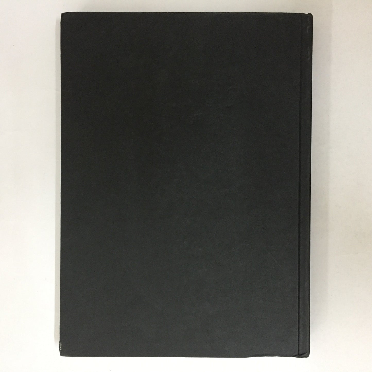 Ramkinkar Vaij Sculptures by Devi Prasad