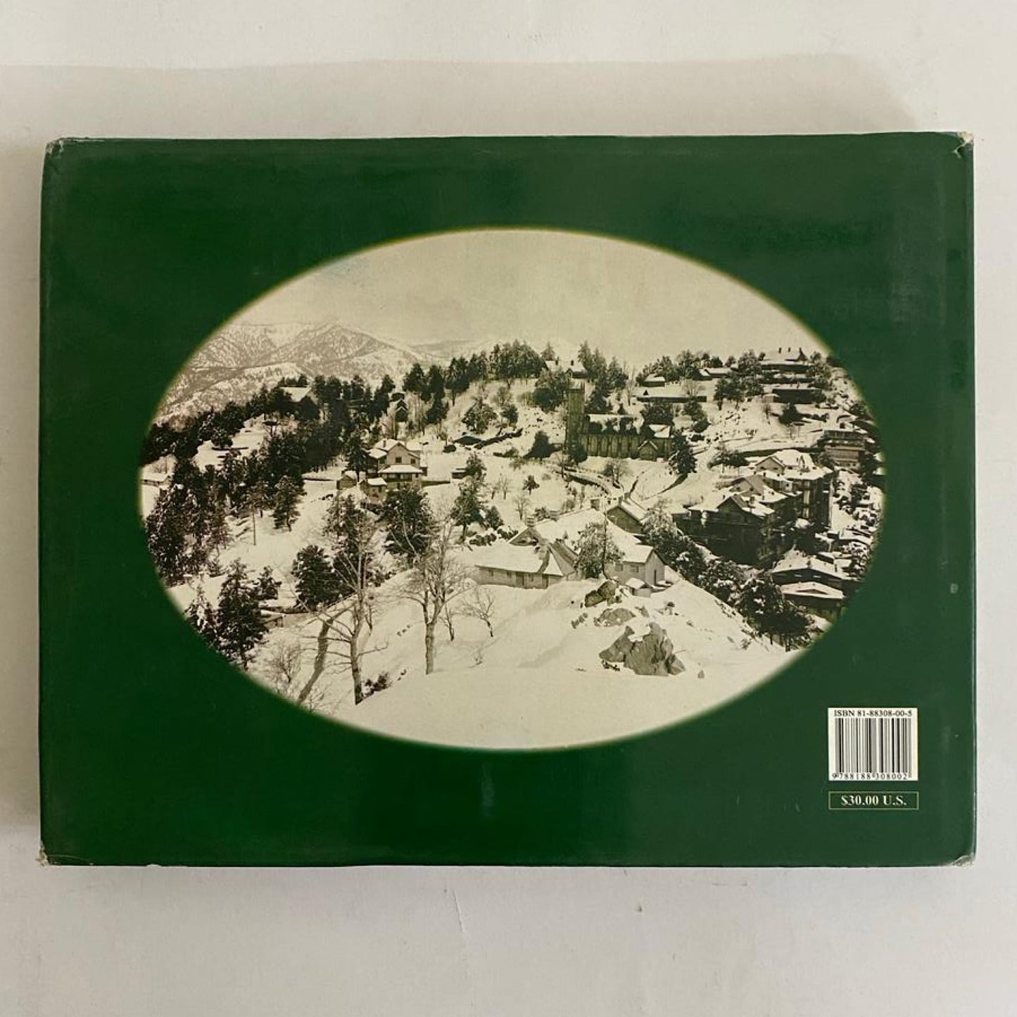 Murree: A glimpse through the forest by Virgil Miedema