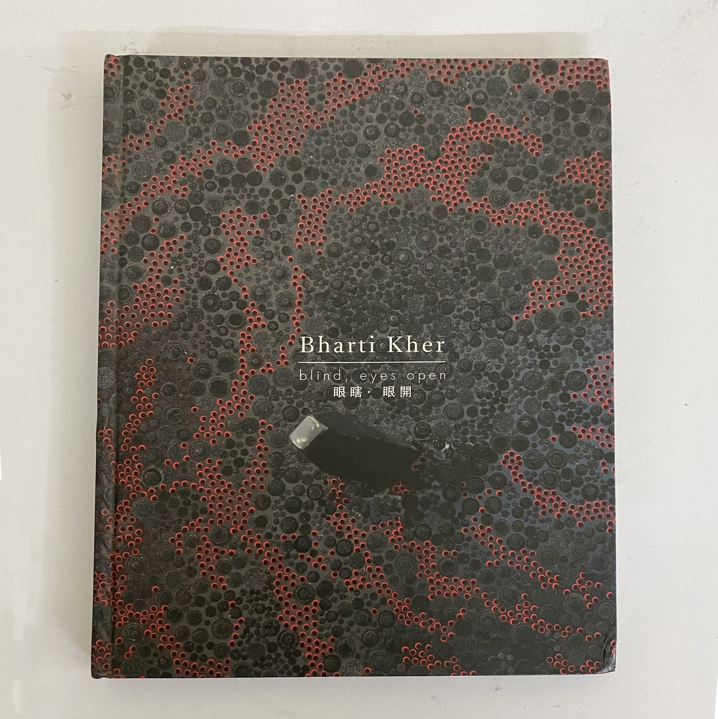 Bharti Kher: Blind, Eyes Open by Bharti Kher