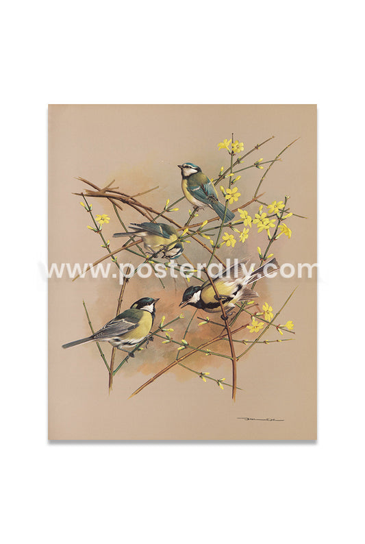 Blue tit and great tit