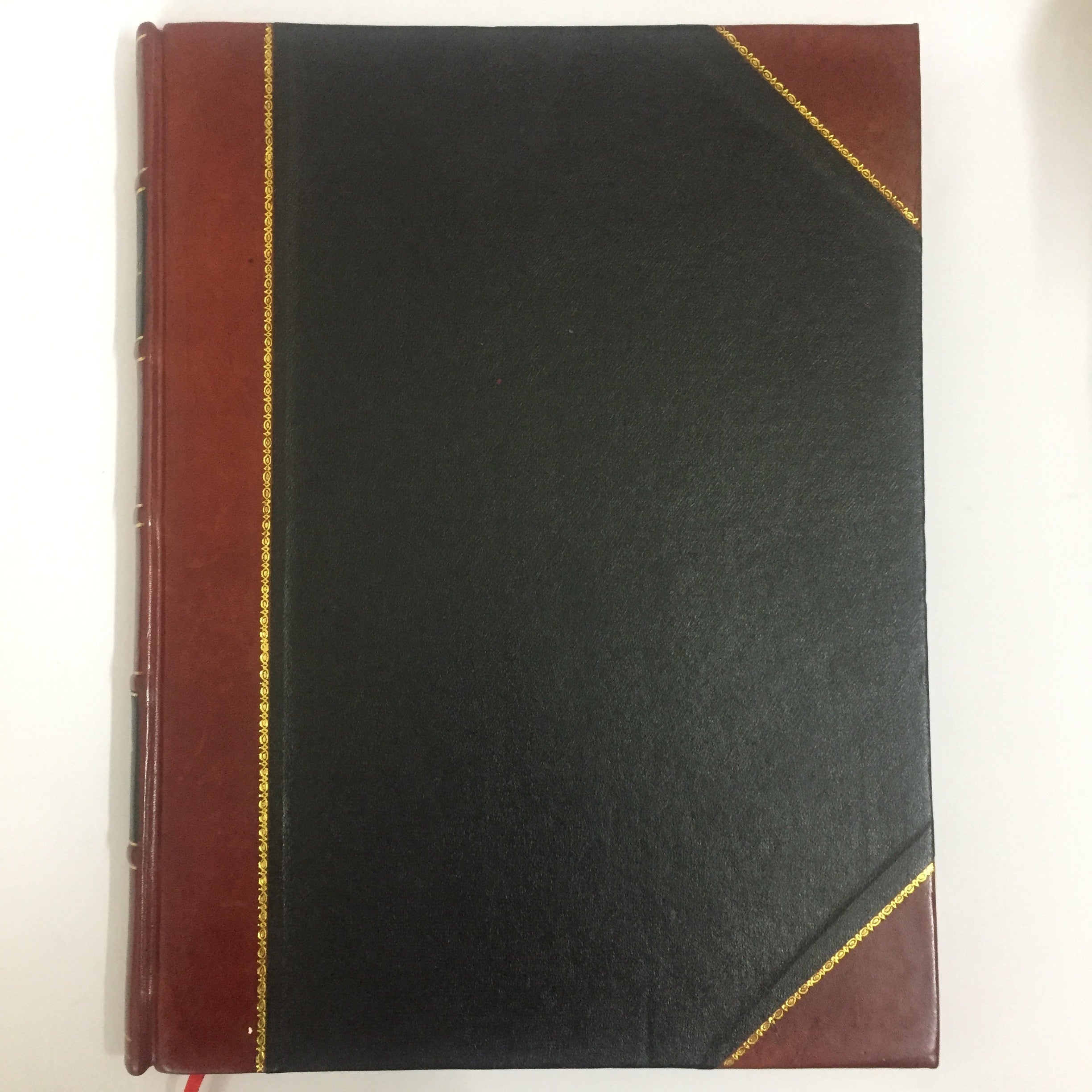 Taj Mahal by Raghu Rai (1986) – Posterally Studio