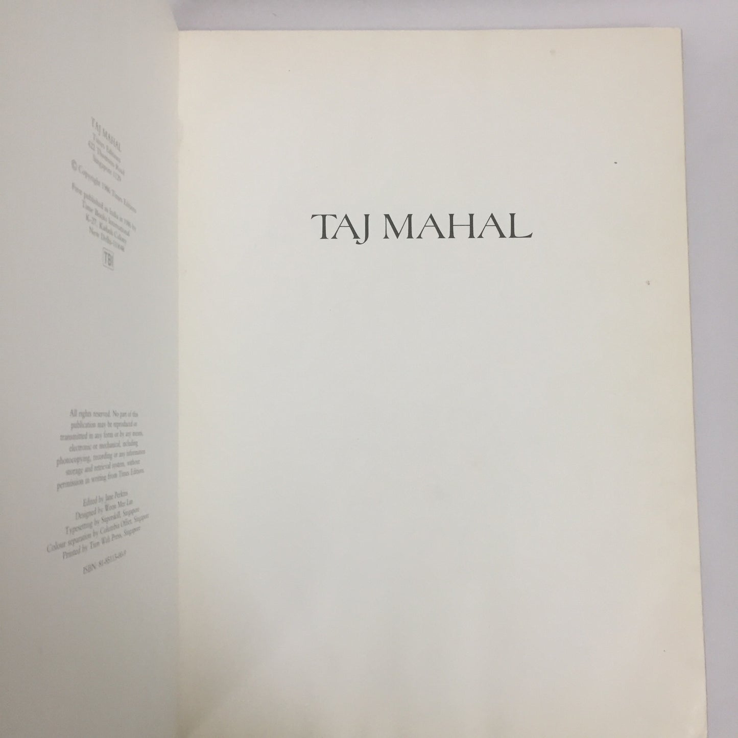 Taj Mahal by Raghu Rai (1986) – Posterally Studio