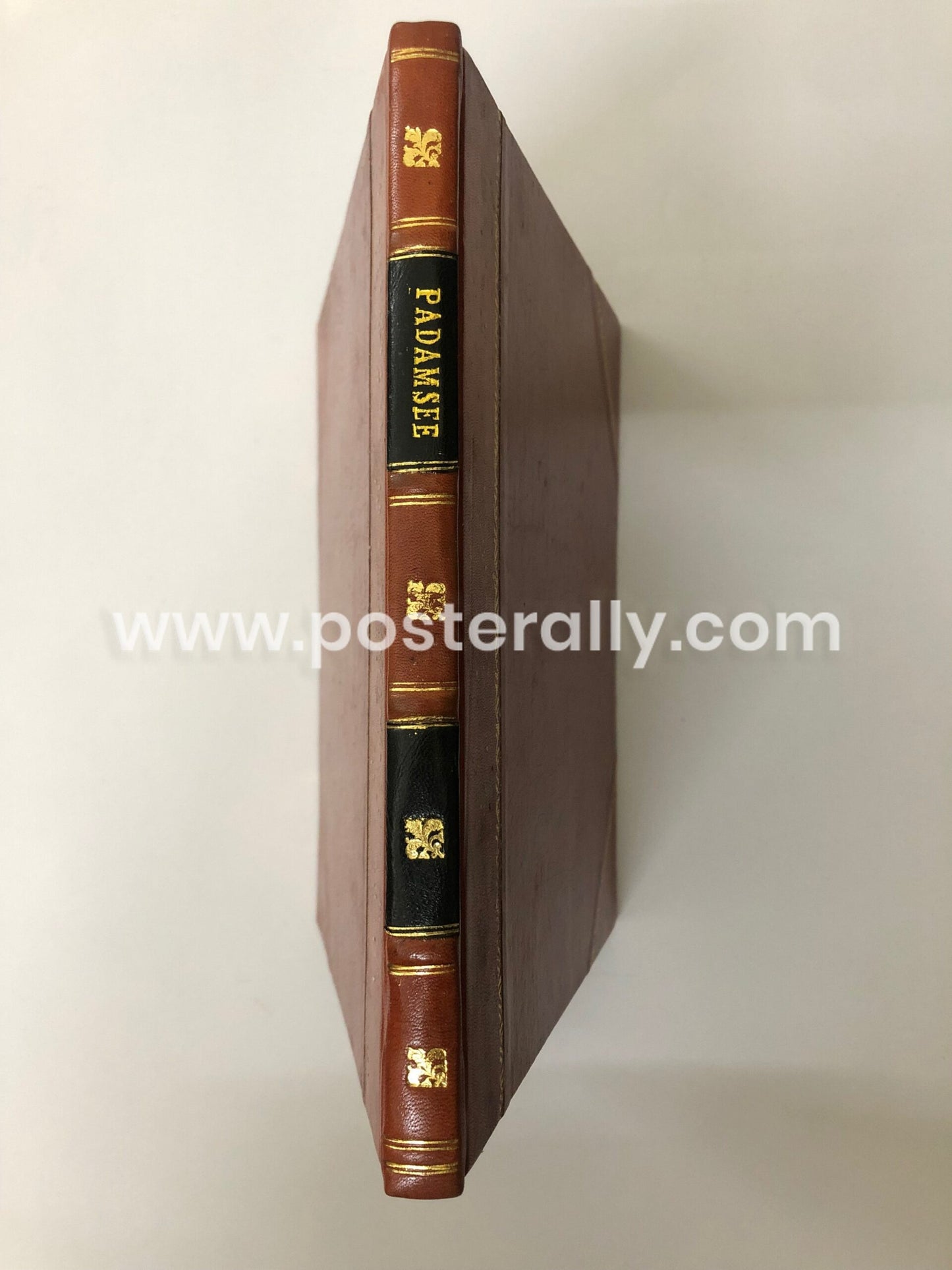 Padamsee by Akbar Padamsee, Shamlalal