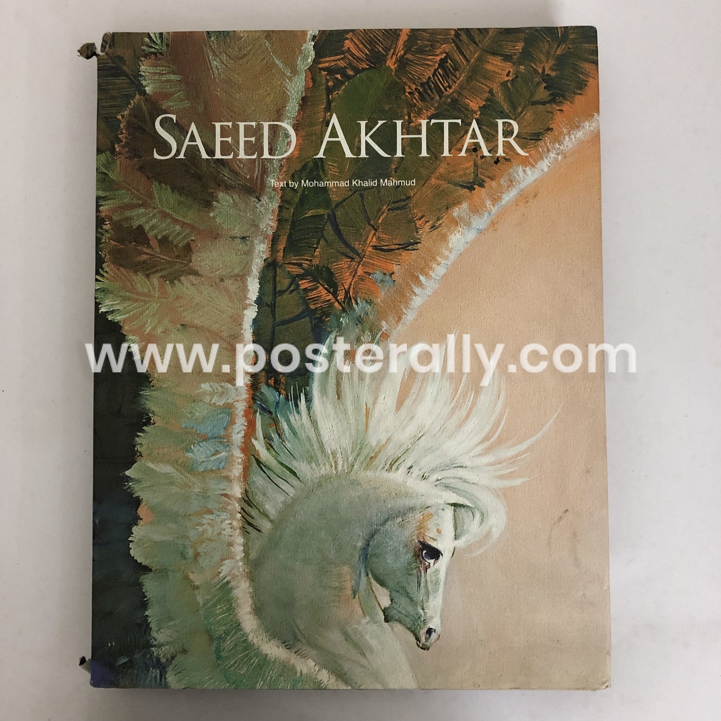 Saeed Akhtar Text by Mohammad Khalid Mahmud (1 January 2010)