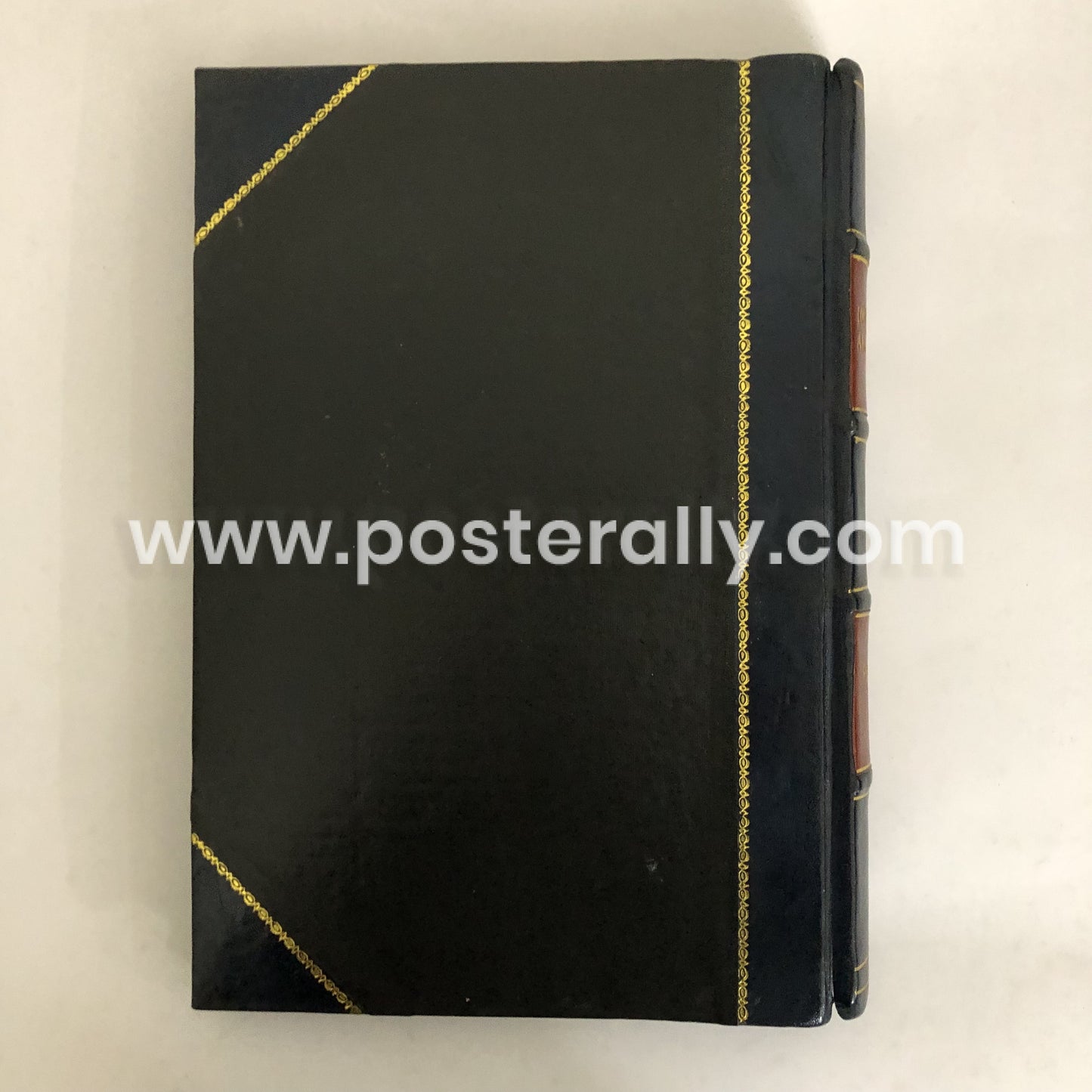 100 Bengal Art Prints (Collector's Edition)