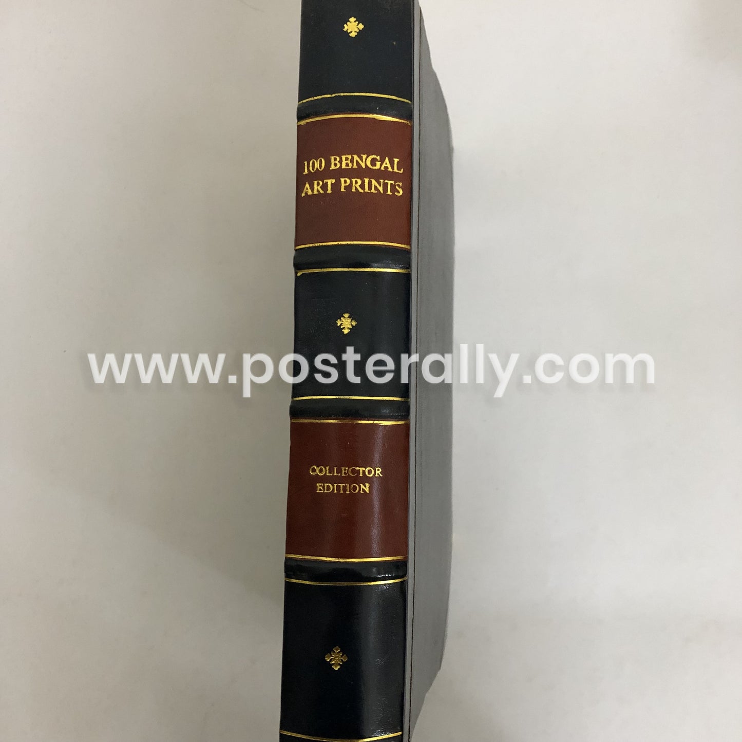 100 Bengal Art Prints (Collector's Edition)