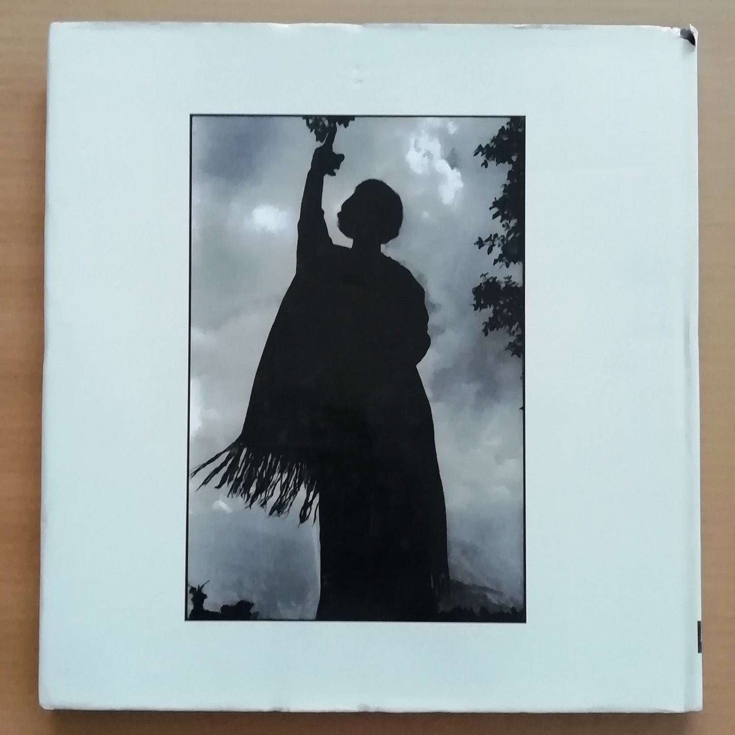 Indira Gandhi by Raghu Rai and Pupul Jayakar