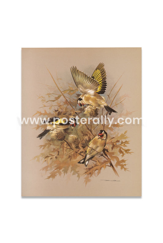 The Goldfinch