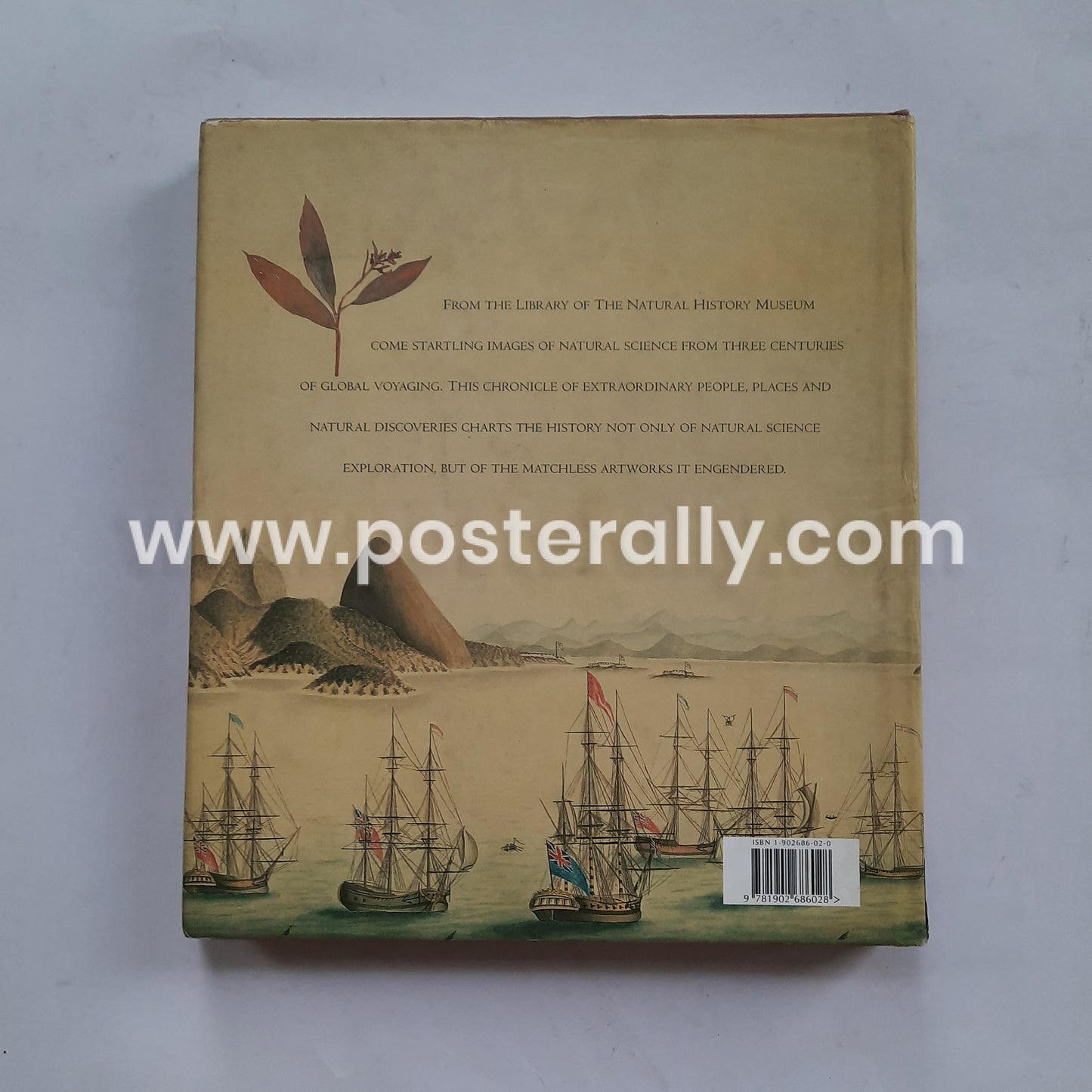 Voyages of Discovery_ Three Centuries of Natural History Exploration by Anthony Rice