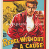 James Dean Rebel Without A Cause | Buy Hollywood Posters | James Dean Posters | Nicholas Ray