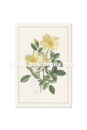 Posterally Studio Vintage Botanical Prints - Golden Wings